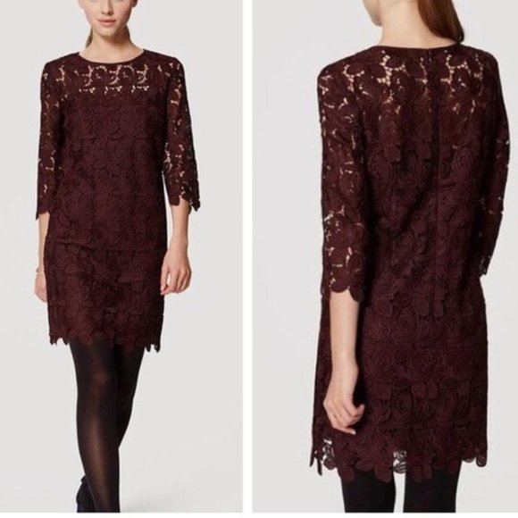 LOFT Floral Lace Eyelet Dress Size 2 NWT Cocktail Party - Picture 1 of 8